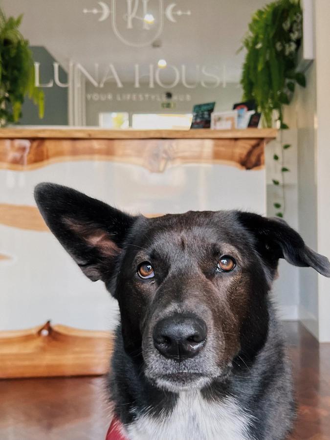 Luna House & Cowork Cascais Kültér fotó